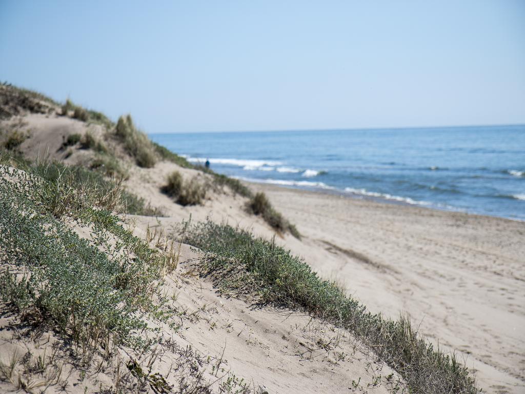 Wood House Close Beach Marbella Ngoại thất bức ảnh