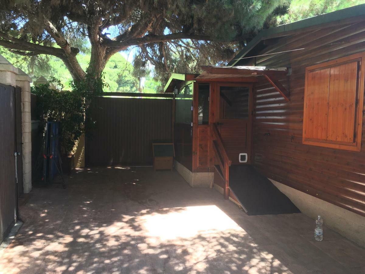 Wood House Close Beach Marbella Ngoại thất bức ảnh